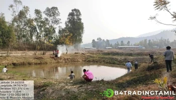 B. Phainom Village, Kangpokpi District - Phowaibi