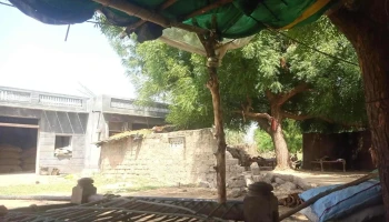 Jalore , Rajasthan - Ramdev Colony