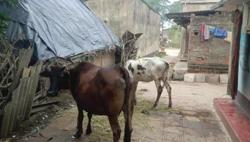 Kendrapara, Odisha, India - Bala Bhadrapur
