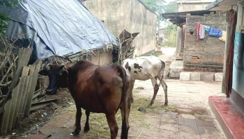 Kendrapara, Odisha, India - Bala Bhadrapur