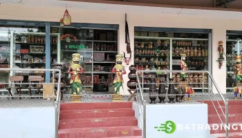 Kondapalli toys Purna chandra rao toys - Front Of Government Hospital