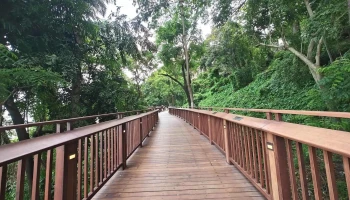 Malabar Hills Forest Walk Way - Dadi Sheth Wadi