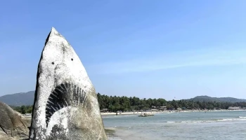 Shark Rock Point - Anjadip