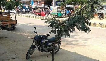 State Bank of India Srrd Vemulawada - Opp : Cess Office Vemulawada