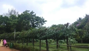 Yagnya maidan konark, navagrah - Konark