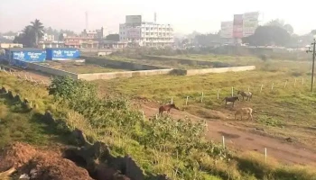 இந்தாபூர் - இந்தாபூர்