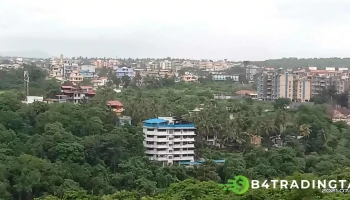 எசன் விஸ்பரிங் வில்லோ - Road