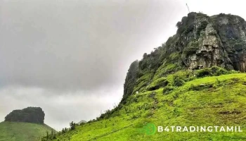 காவனை போர்ட் - Igatpuri, கவனி