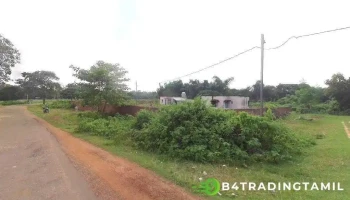 குருனியா ரி ஆபீஸ் - Balasore