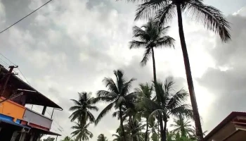 கேட் - கேட்