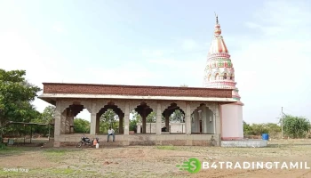 சீக்லி - சீக்லி