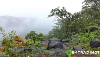 சுனி ஜவ்ஹார் - சுனி ஜவ்ஹார்