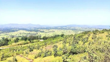 சுர்கானா - சுர்கானா