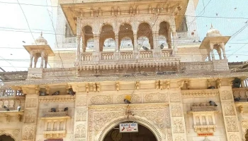 டெஷ்னொக் - தேஷ்நோக்