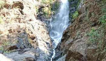 நிடர்லம் வாட்டர்பால் (சாவ்ரி) - Neturlim