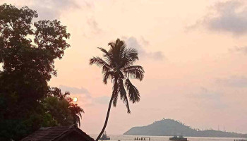 பந்கொட் - பந்கொட்