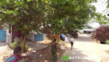 பாபட்லா ரூரல் போலீஸ் ஸ்டேஷன் - 13Th Ward