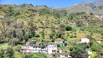 பிபால்கோட்டி ரெஸ்ட் ஹவுஸ் பத்ரிநாத் - கேதார்நாத் டெம்பிள் கமிட்டி (பக்கட்டிசி) - Nh 7
