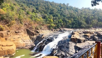 புதுடி வாட்டர்பால் - Sesakera