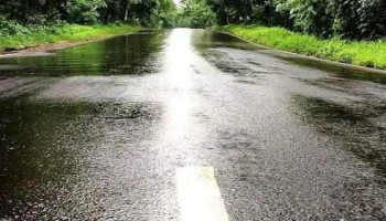 முர்பாட் - முர்பாட்