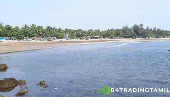 மொர்ஜிம் பீச் - Morjim