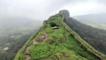 விஞ்சு கட - Maharashtra