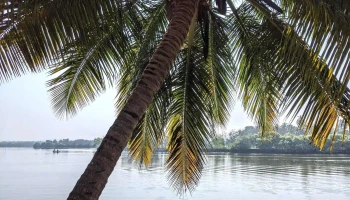 வில்லா கவேலோசிம் - Luisa By The Sea