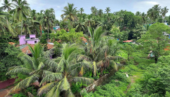 வில்லேஜ் பஞ்சாயத் சாலிகா - Saligao