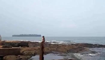 ஹரனை - ஹரனை