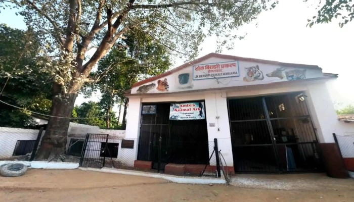 Aapiis Aap Ttisttriktt Klekttr Kttcirooli Street View 360deg - Gadchiroli, கட்சிரோலி
