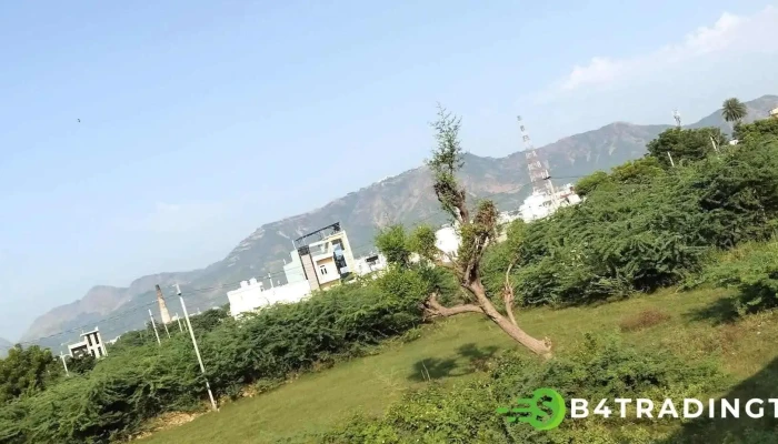 Antri dungarpur - Antri