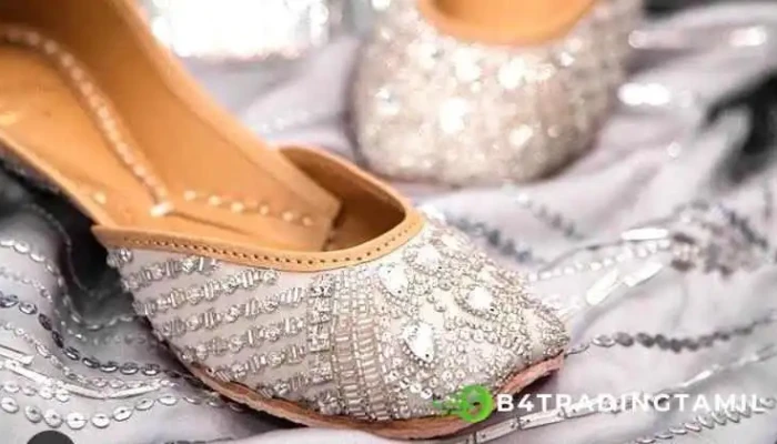 Ashwani D Punjabi Jutti manufacturer - Abohar