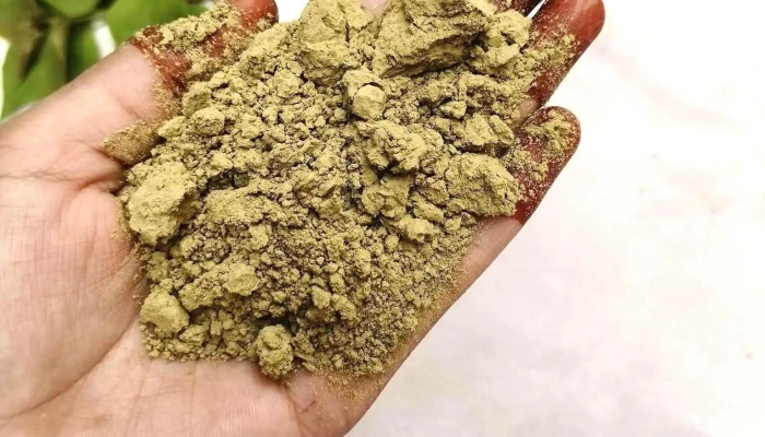Best Mehndi From Sojat - Tehsil