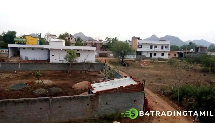 Bhawanipatna naktiguda - Bazarpada