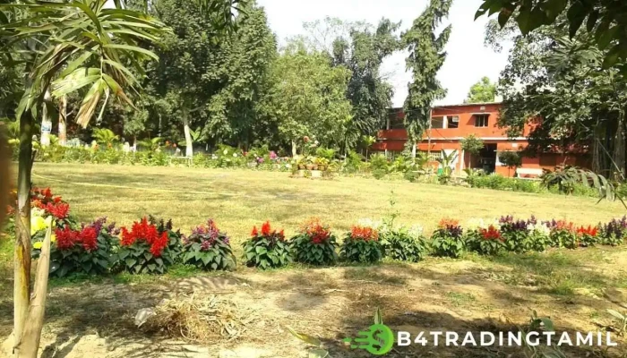 Chandbali College - Baligaon