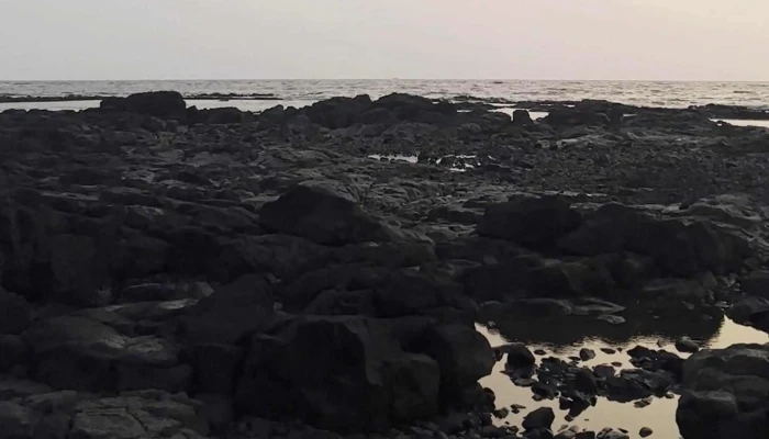 Cliff Manori Island முகவரி - Mumbai