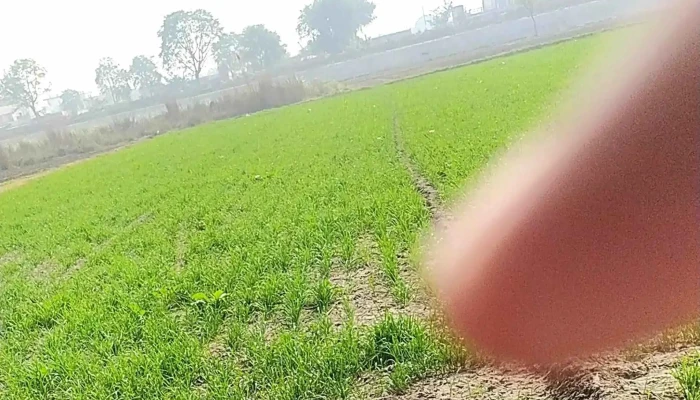 Farrukh Nagar Bypass -  அங்கே எவ்வாறு செல்வது - Farukh Nagar