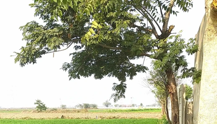 Farrukh Nagar Bypass -  இருப்பிடம் - Farukh Nagar