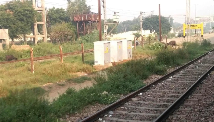 Hoottl Hodal ஹோடல் -  ரூரல் - Hodal, ஹோடல் ரூரல்