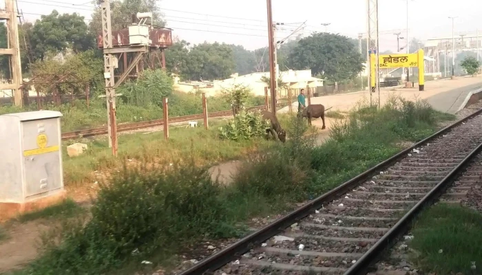 Hoottl கருத்துகள் - Hodal, ஹோடல் ரூரல்