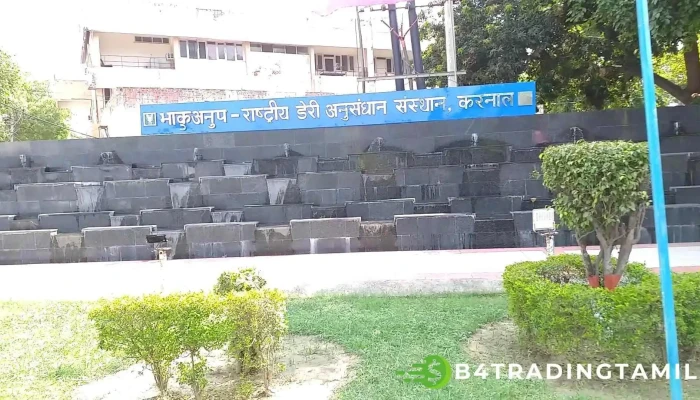 Icar National Dairy Research Institute -  Viittiyoo - Karnal, கர்னால்
