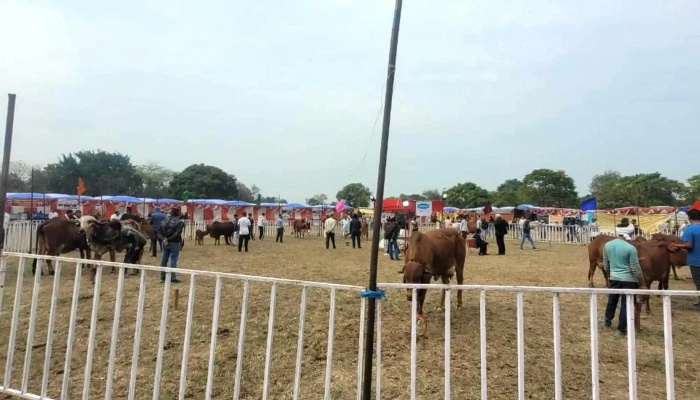 Icar National Dairy Research Institute -  ஆராய்ச்சி நிறுவனம் - Karnal, கர்னால்