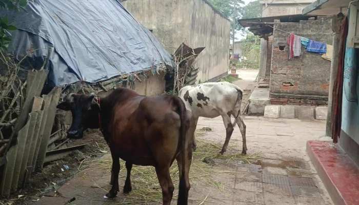 Kendrapara, Odisha, India - Bala Bhadrapur