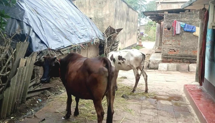 Kendrapara, Odisha, India - Bala Bhadrapur
