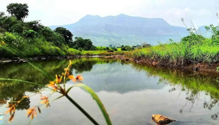 Khootti Ellaam - க்ஹோடி புறக்