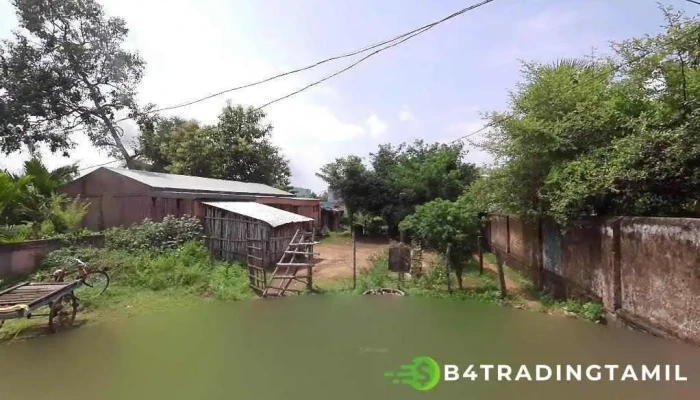 Kodala nac - Kodala