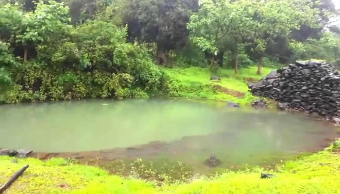 Koynnnnkr Viittiyoo - கொயனநகர்