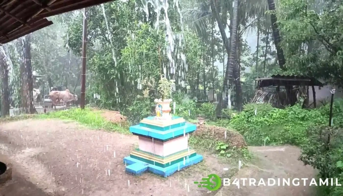 Kuttaal Viittiyoo - குடால்