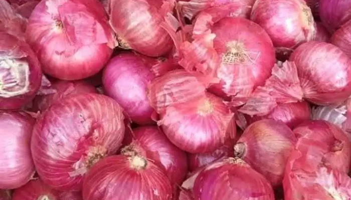 Lclkoonnn Ellaam - லசல்கோன்