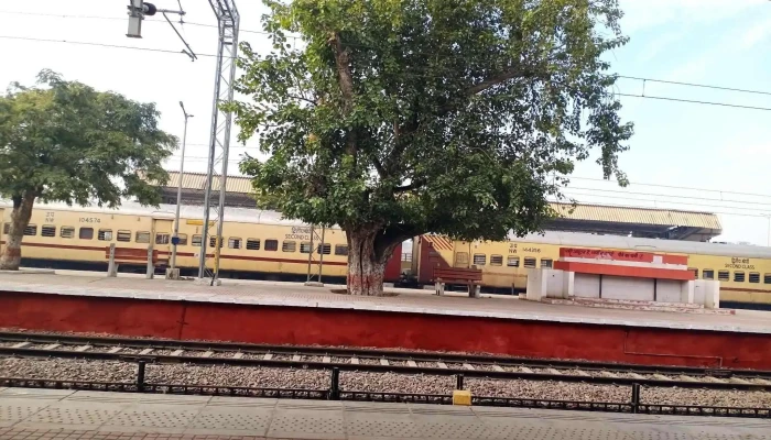 Loohaaruu Ellaam - லோஹாரூ